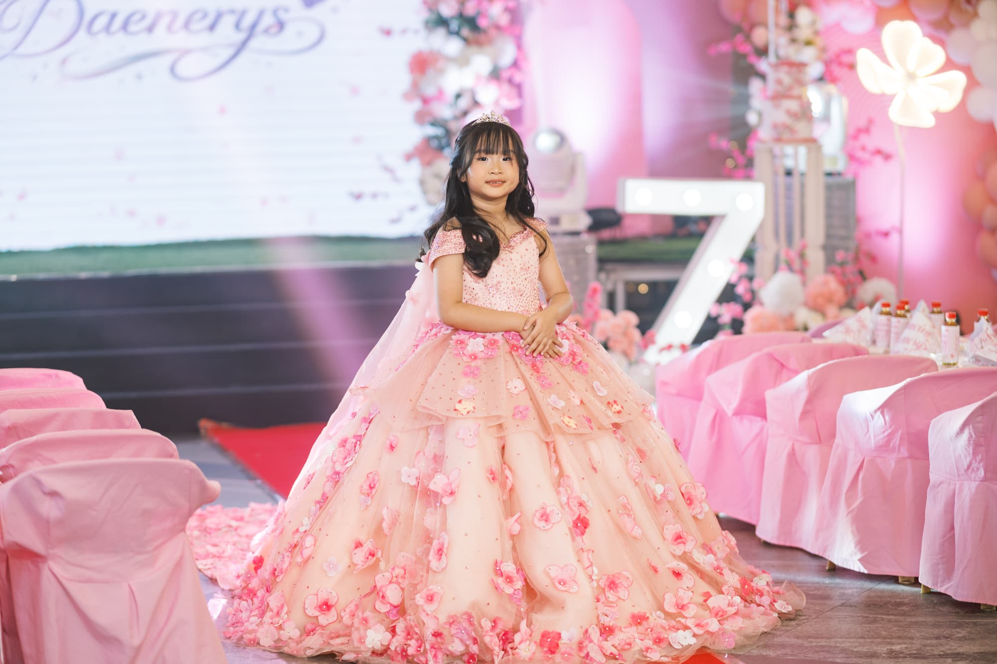 Francine Daenarys 7th Birthday